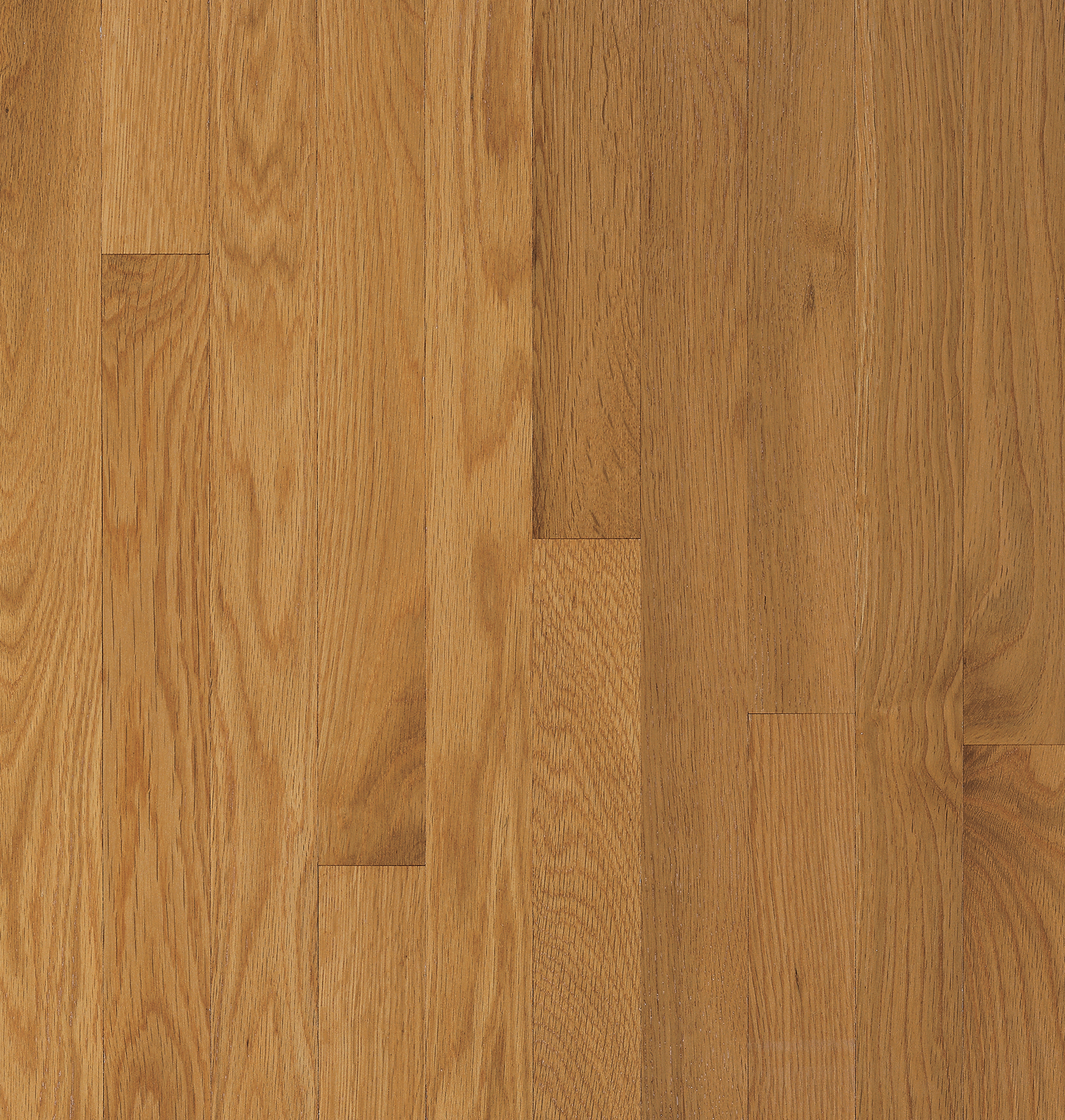 Bruce Hardwood Flooring - Waltham Cornsilk