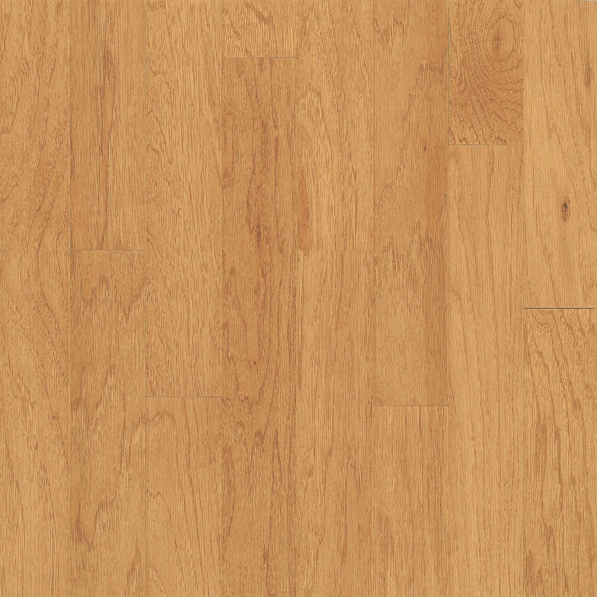 Natural Wild Pecan Pecan