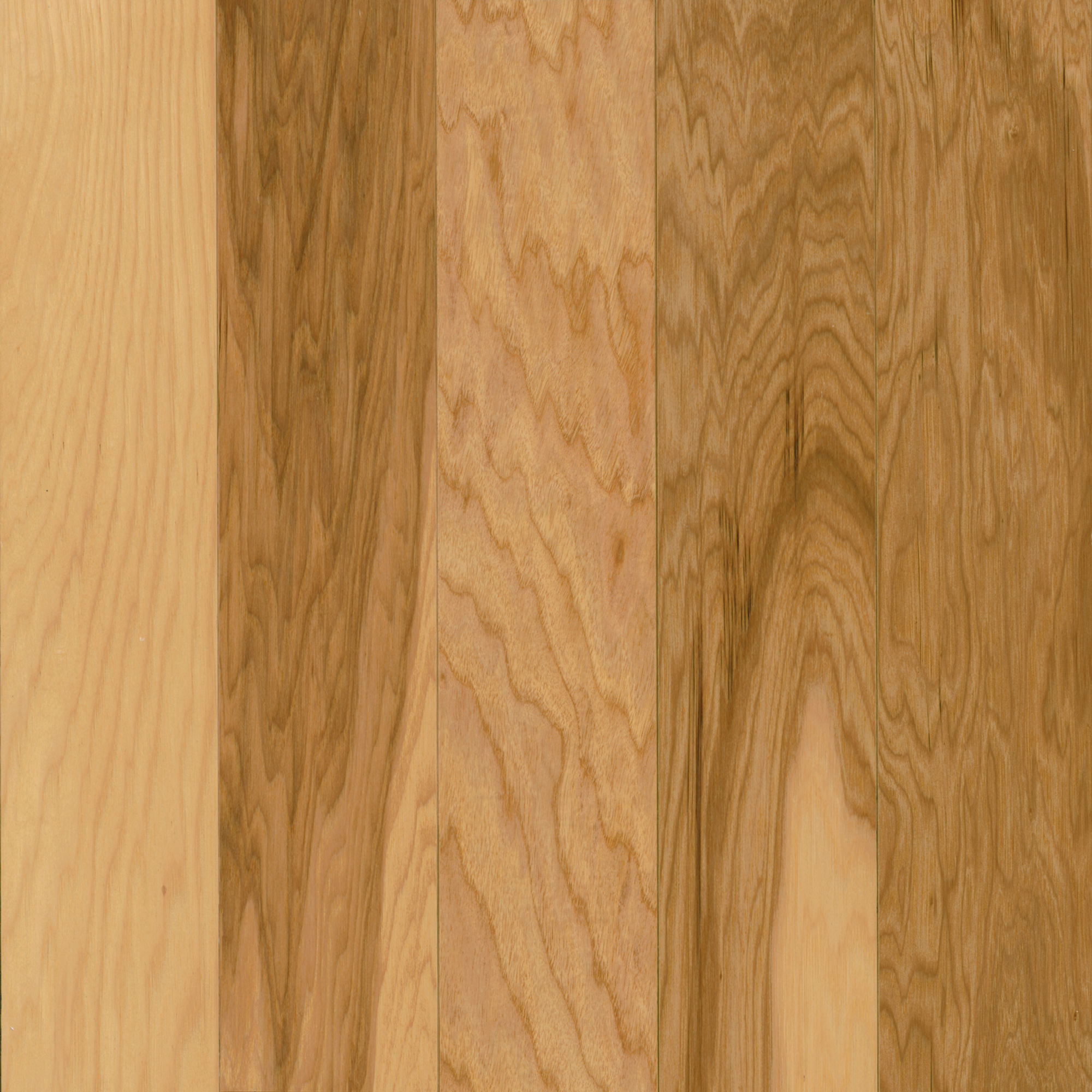Hickory 5″ Hickory 5″