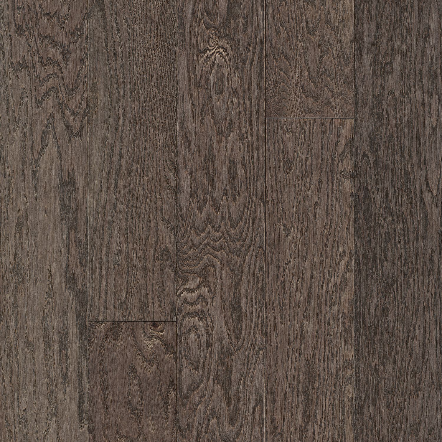 Silver Oak Oak