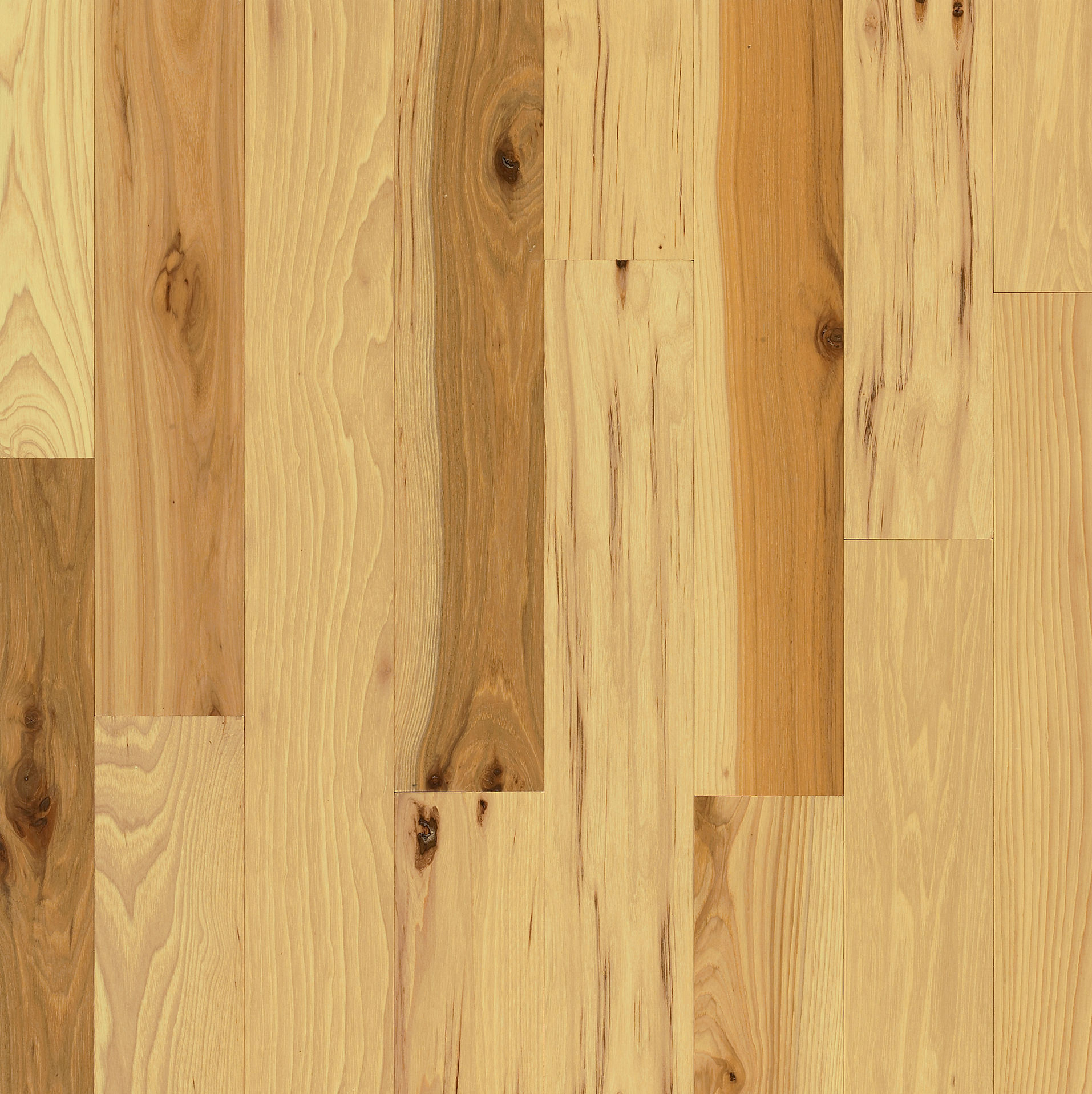 Hickory 3 1/4″ Hickory 3 1/4″