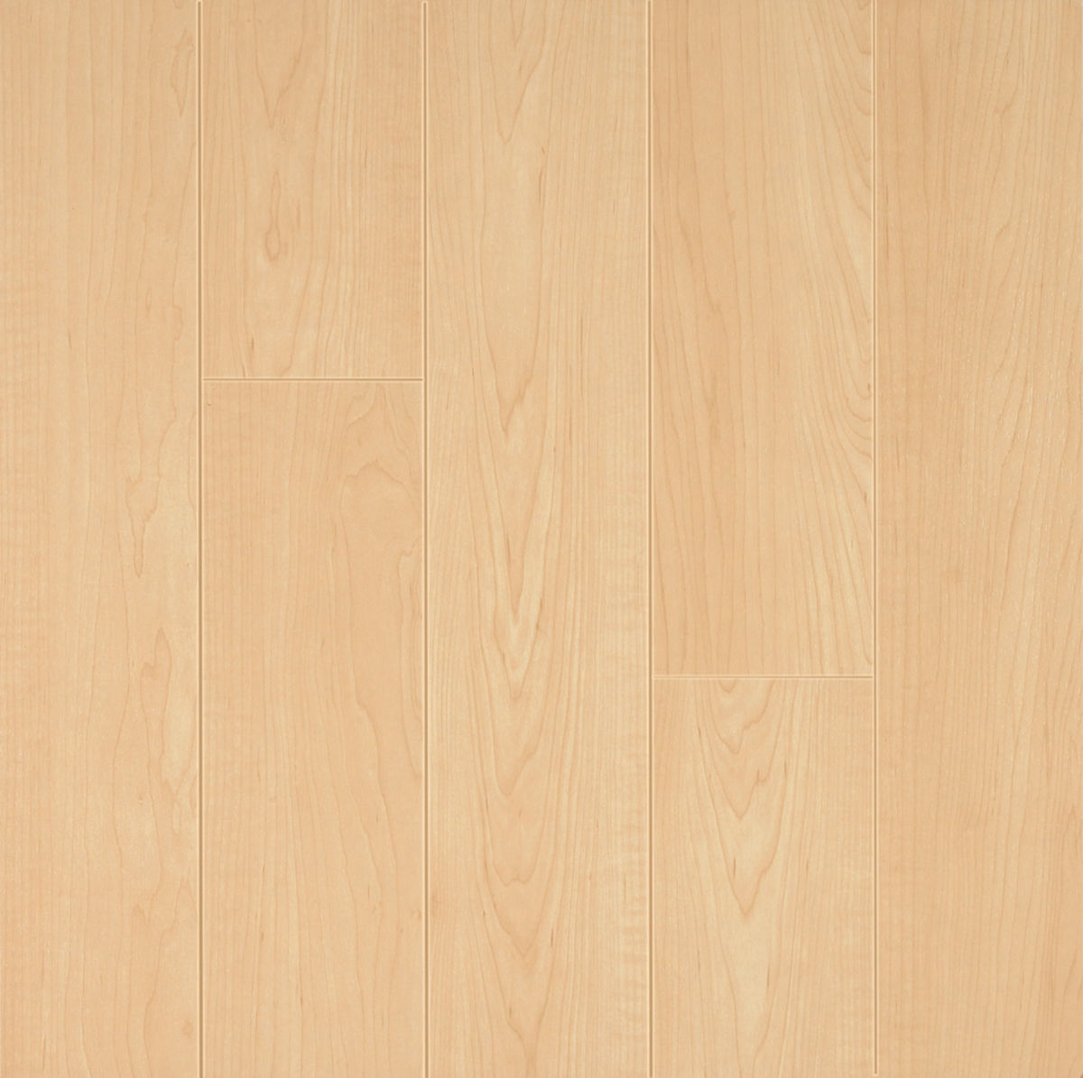 Premium Maple Premium Maple