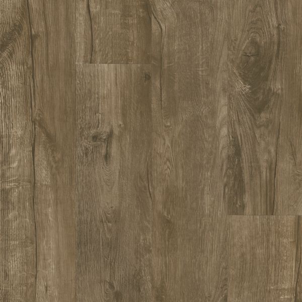 Chestnut