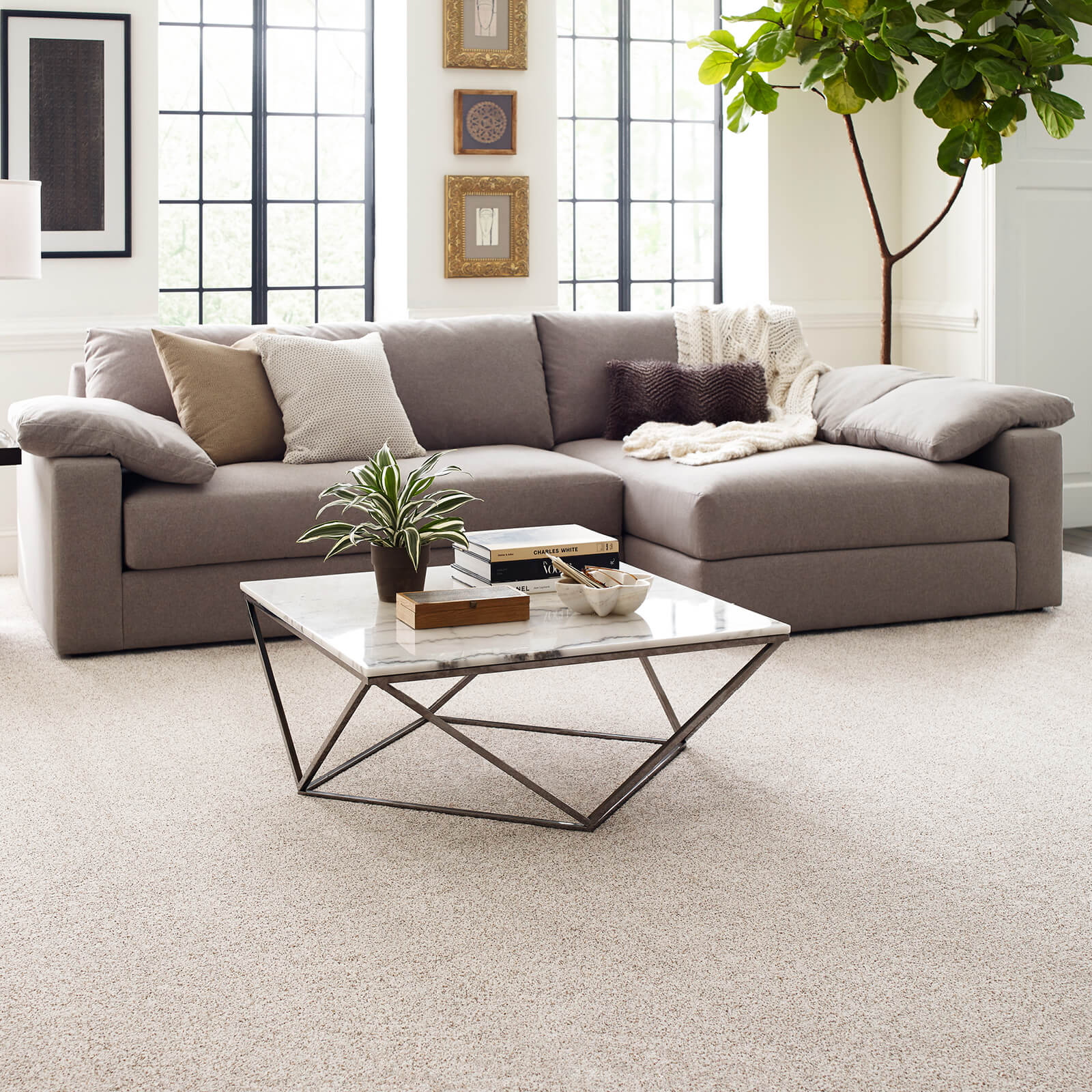 Carpeted Living Room