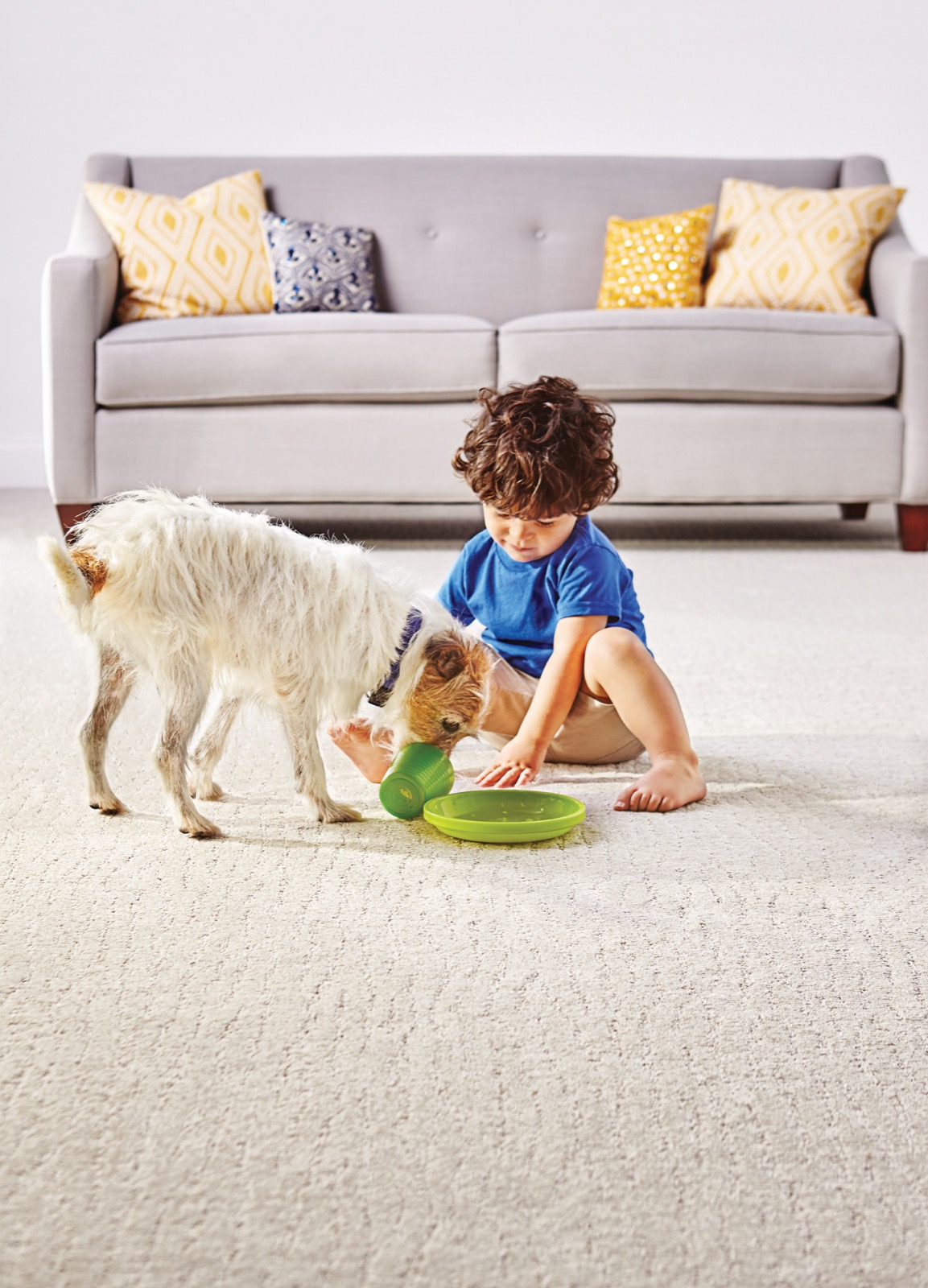 How to Remove Common Carpet Stains