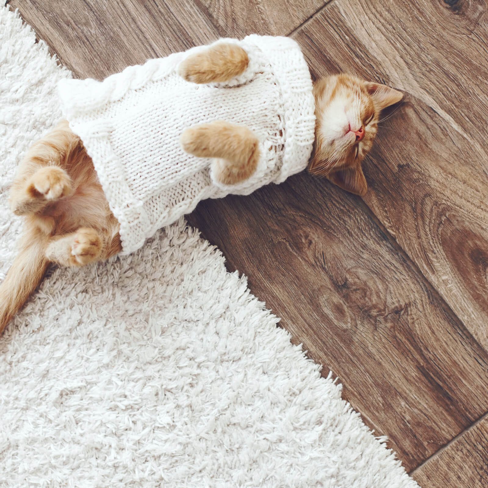 How to Keep Your Floors Warm and Cozy This Winter