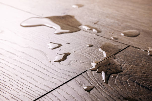 Top Tips for Cleaning Waterproof Laminate Flooring - Carpet Mart