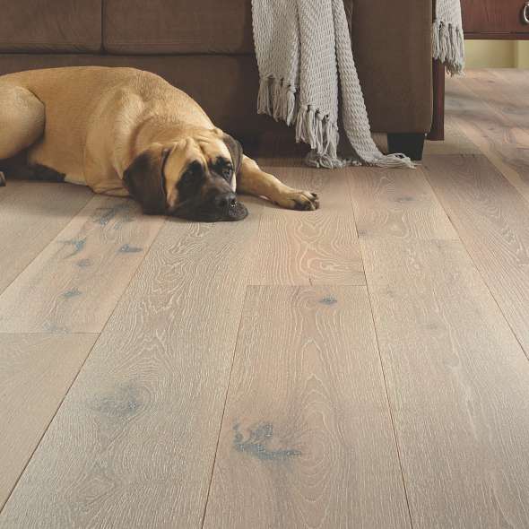 2022 Flooring Year In Review