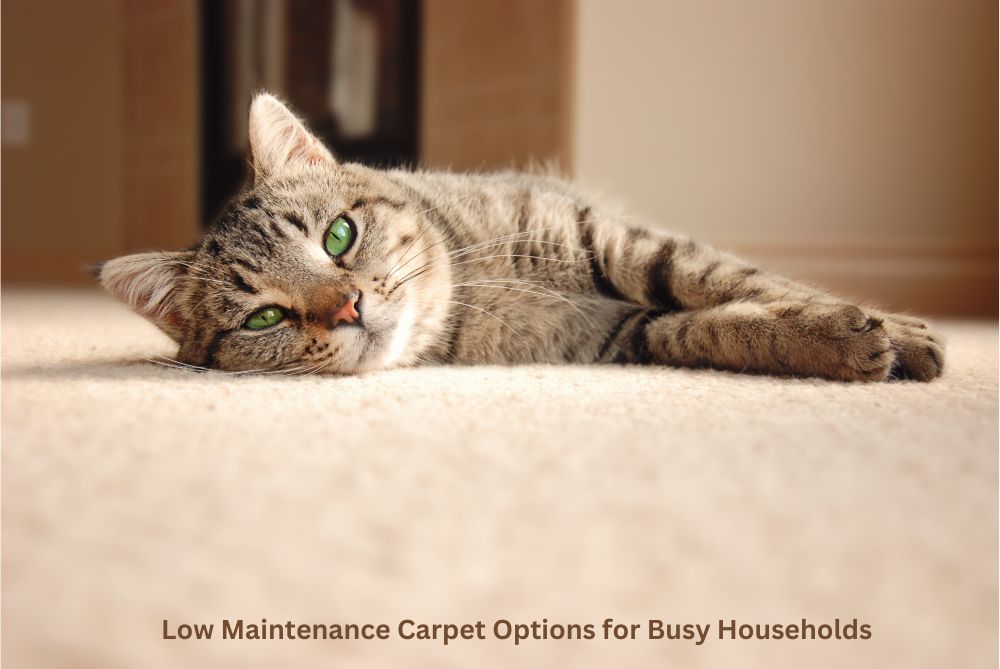 Low Maintenance Carpet Options for Busy Households
