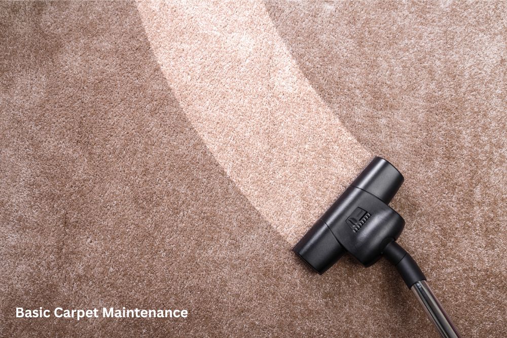 Low Maintenance Carpet Options for Busy Households