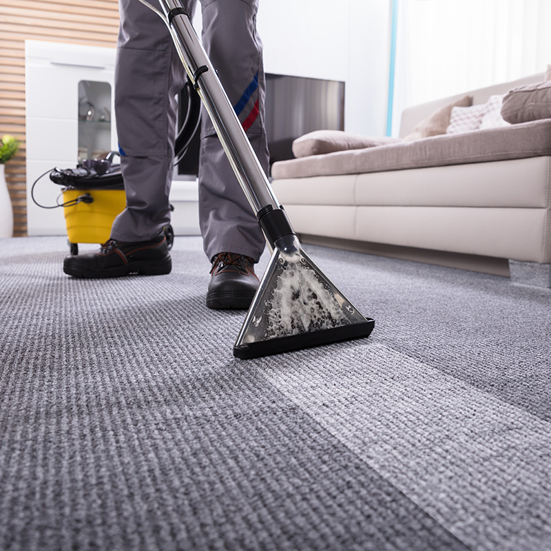 Professional Carpet Cleaning: How Often Should You Schedule it?