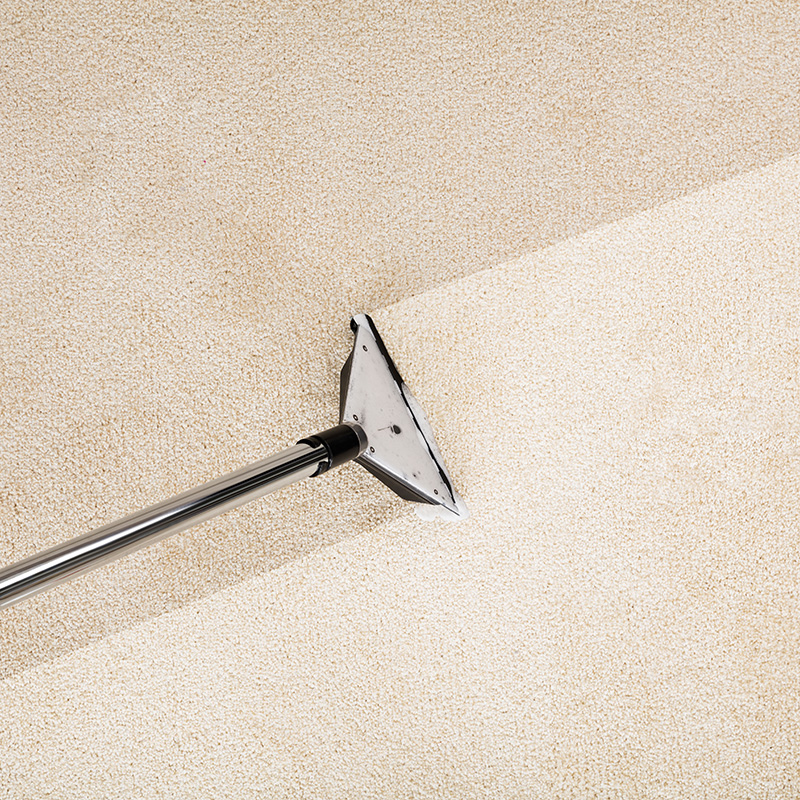 Professional Carpet Cleaning: How Often Should You Schedule it?