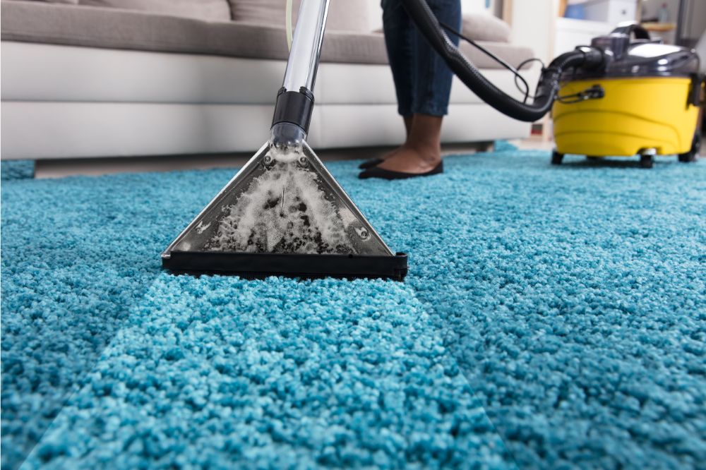 4 Reasons to Have Your Carpet Professionally Cleaned