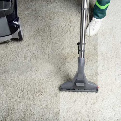 Ultimate Guide to Carpet Care: Keeping Your Carpets Looking Fresh