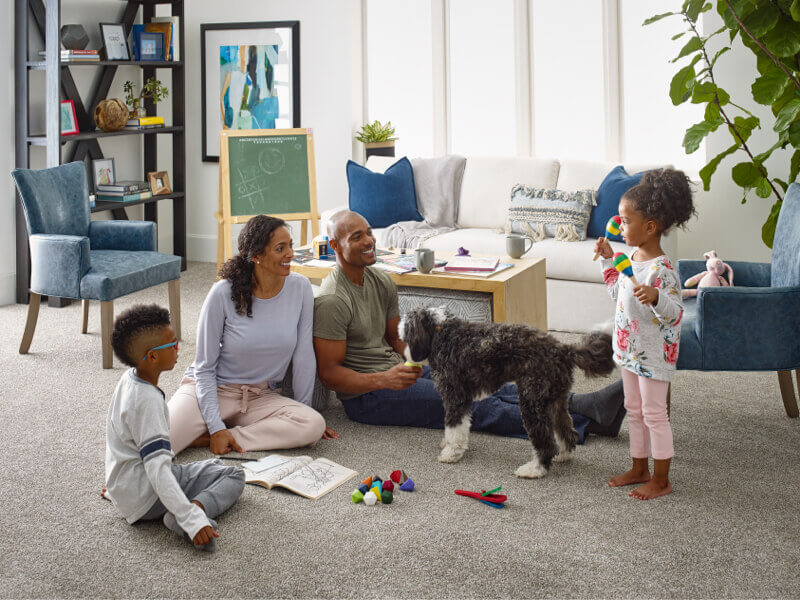 A Room-by-Room Guide to Pet-Friendly Flooring