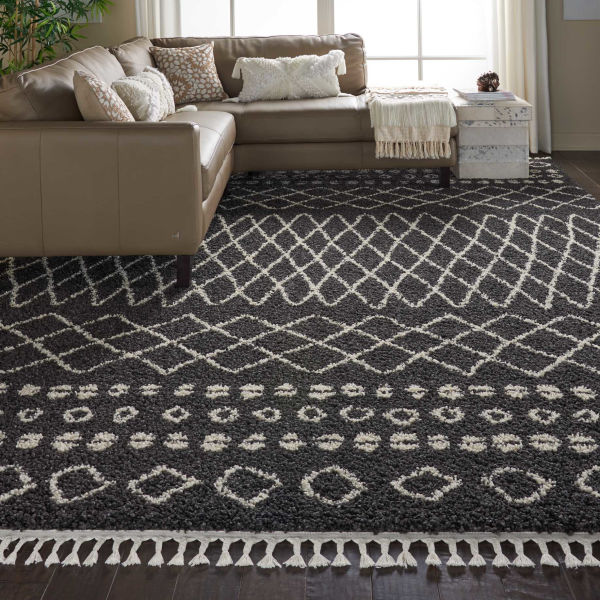 Area Rug in Living Room