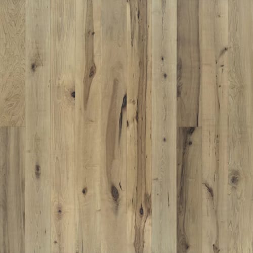 Hallmark Hardwood Flooring - True Collection Orris Maple