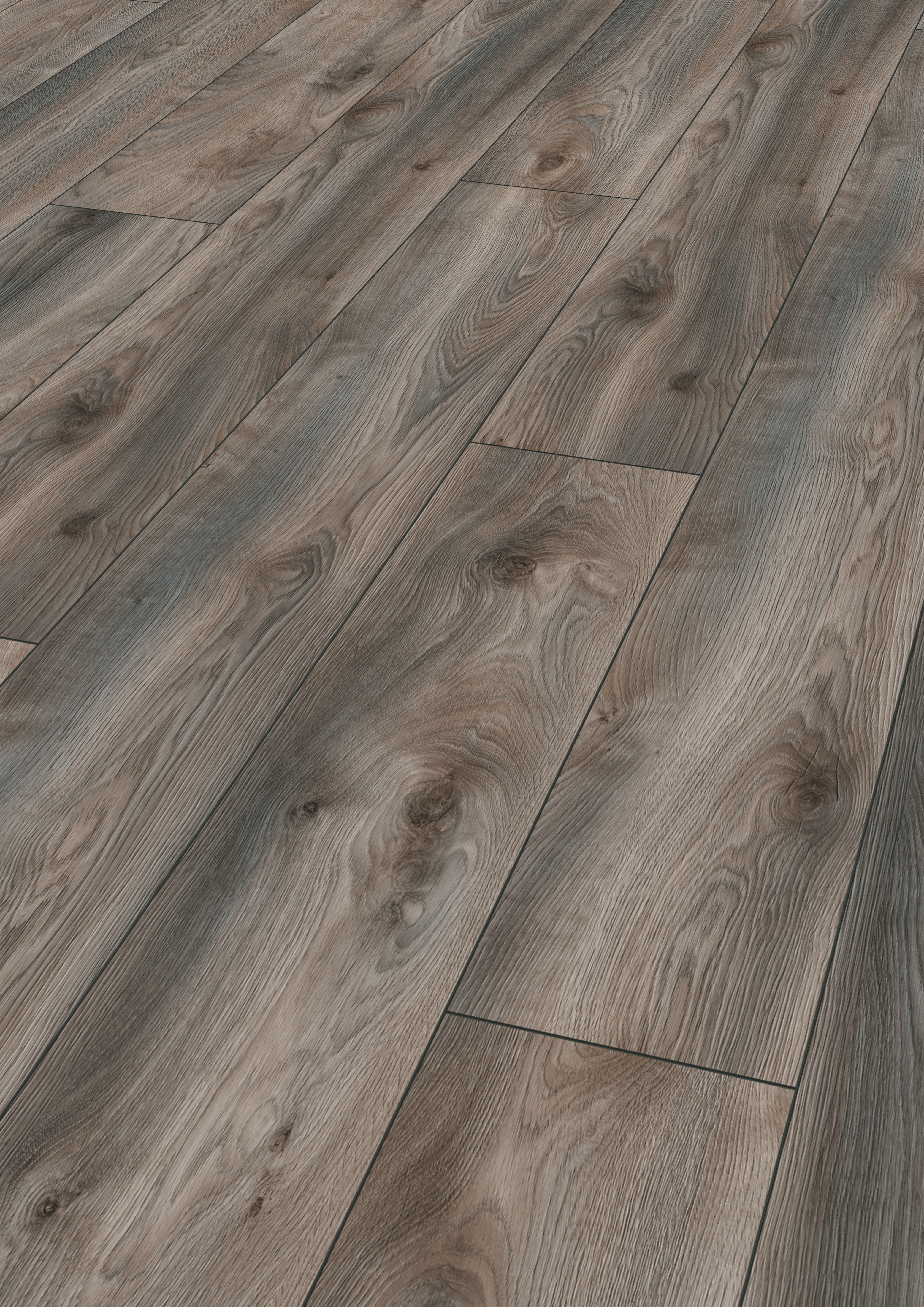 Laminate Flooring Kronotex Mammut Plus Macro Oak Grey Laminate Flooring Kronotex Mammut Plus Macro Oak Grey Liquidators
