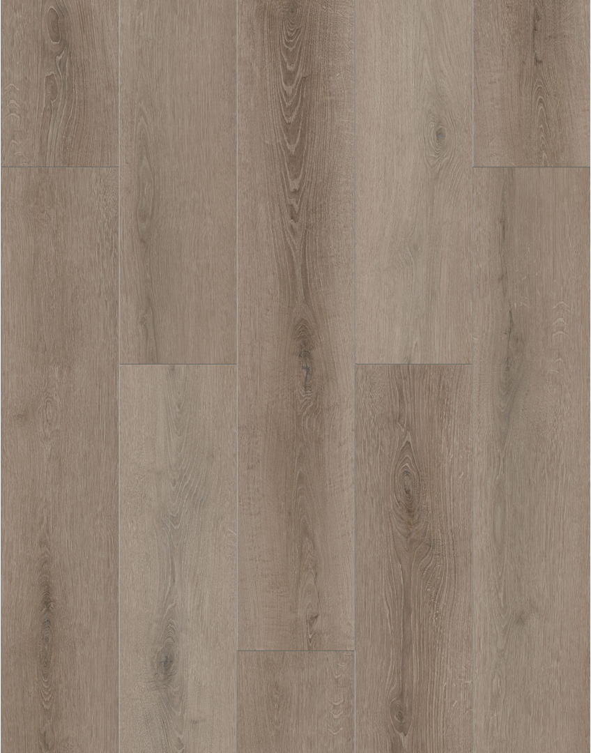 Lions Floor Coffee Feather BB-VI Bambino SPC vinyl flooring
