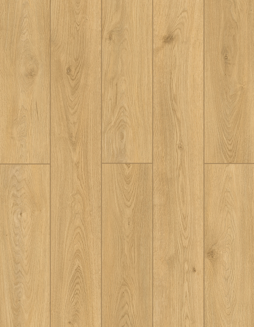 Lions Floor Timber Glaze BB-X Bambino SPC vinyl flooring