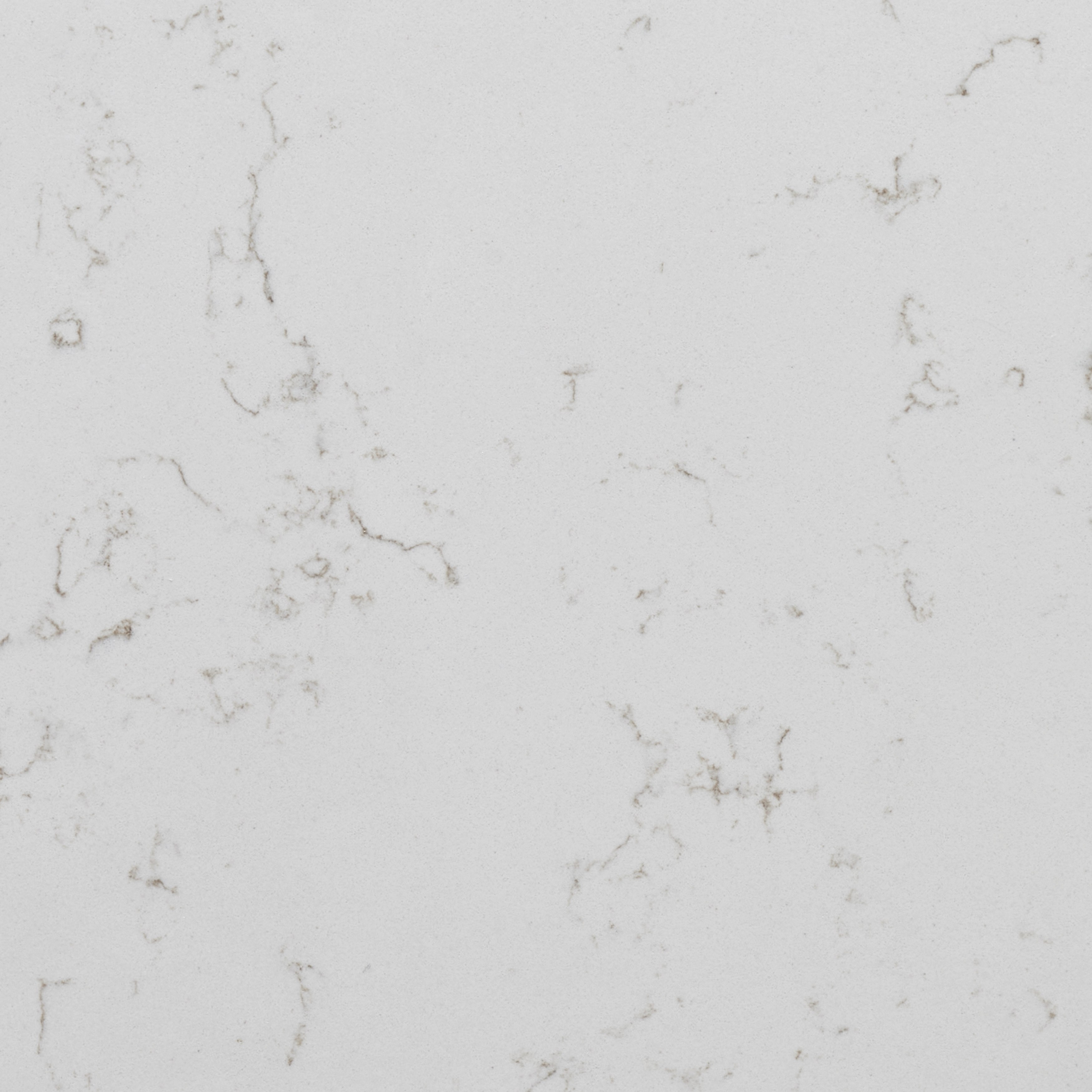 Carrara Breve Quartz