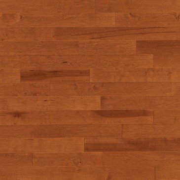 Maple Auburn