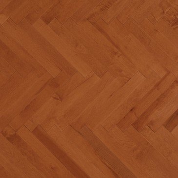 Maple Auburn
