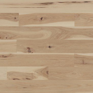 Hickory Sandy Reef
