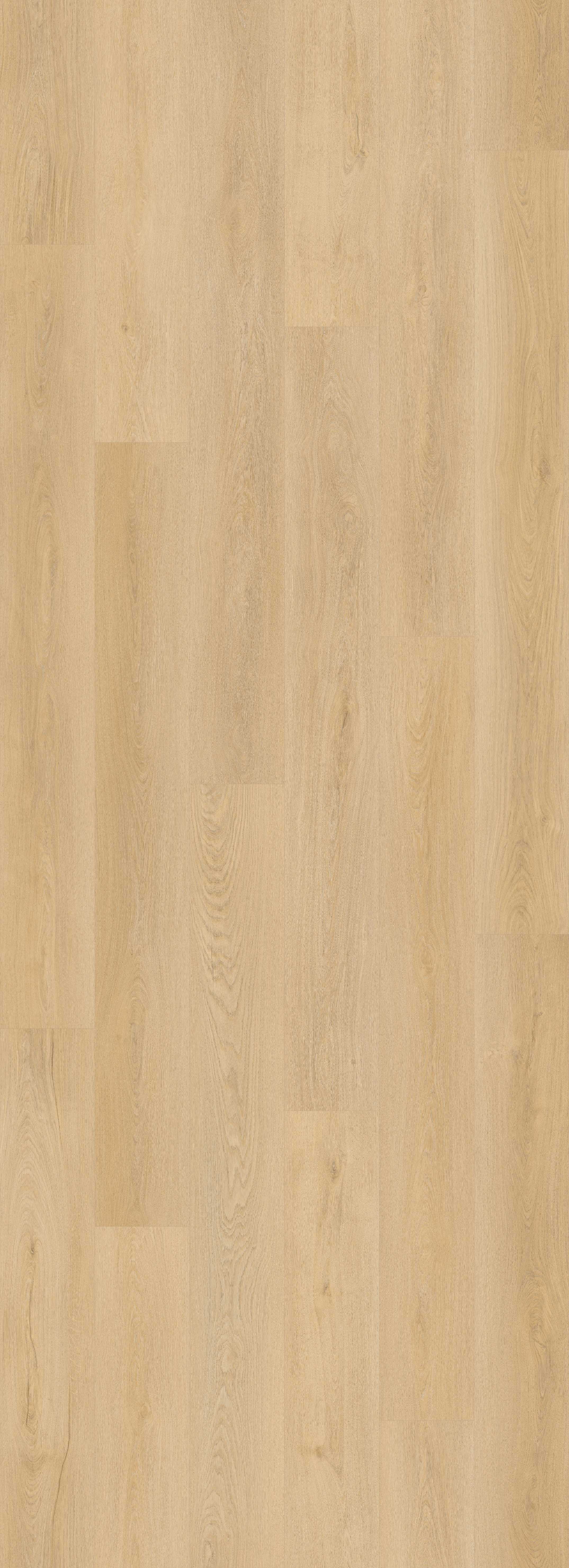 Lions Floor Shadow Reveal LI-BM02 Bevelmark SPC vinyl flooring