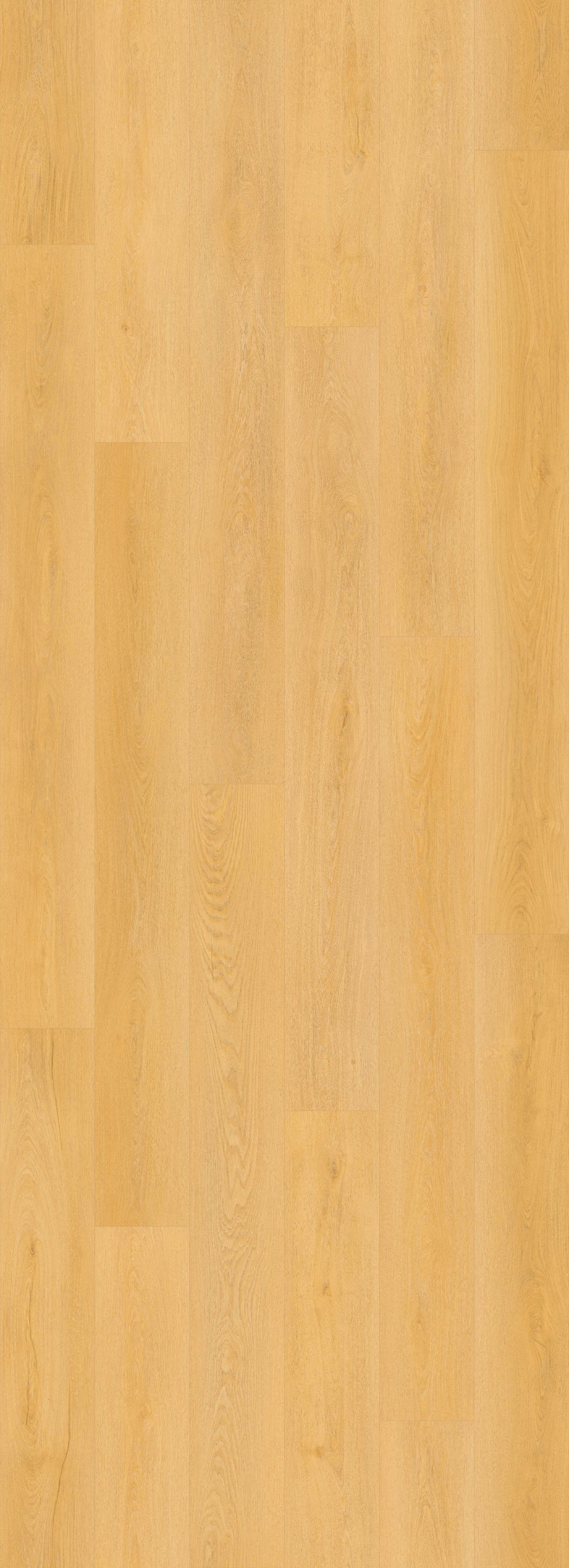 Lions Floor Craftsman Ridge LI-BM03 Bevelmark SPC vinyl flooring