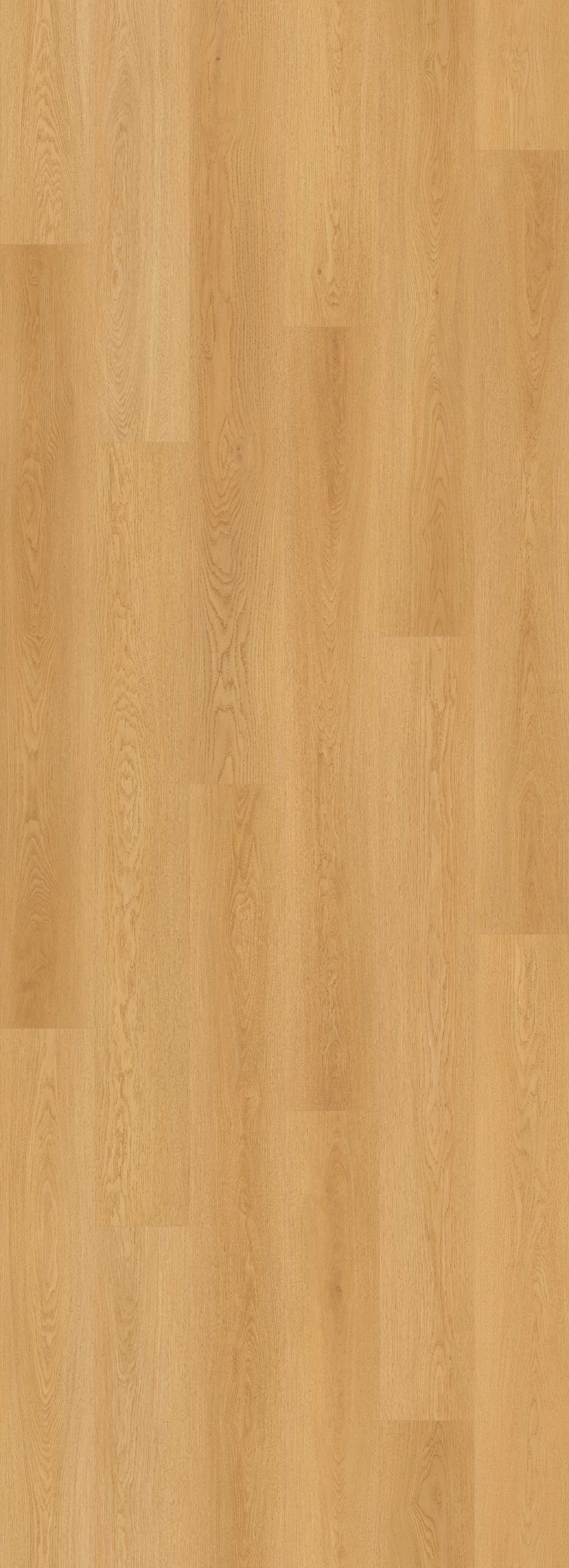 Lions Floor Sculpted Notch LI-BM05 Bevelmark SPC vinyl flooring