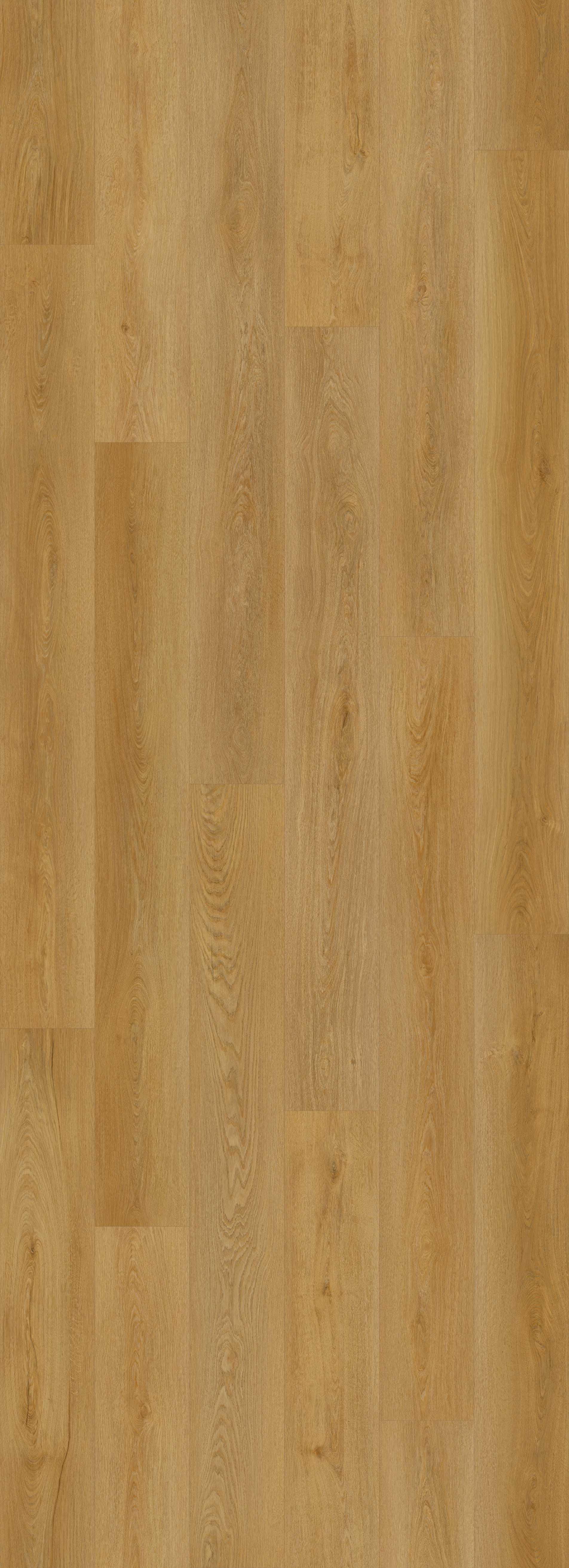 Lions Floor Joiner Path LI-BM07 Bevelmark SPC vinyl flooring