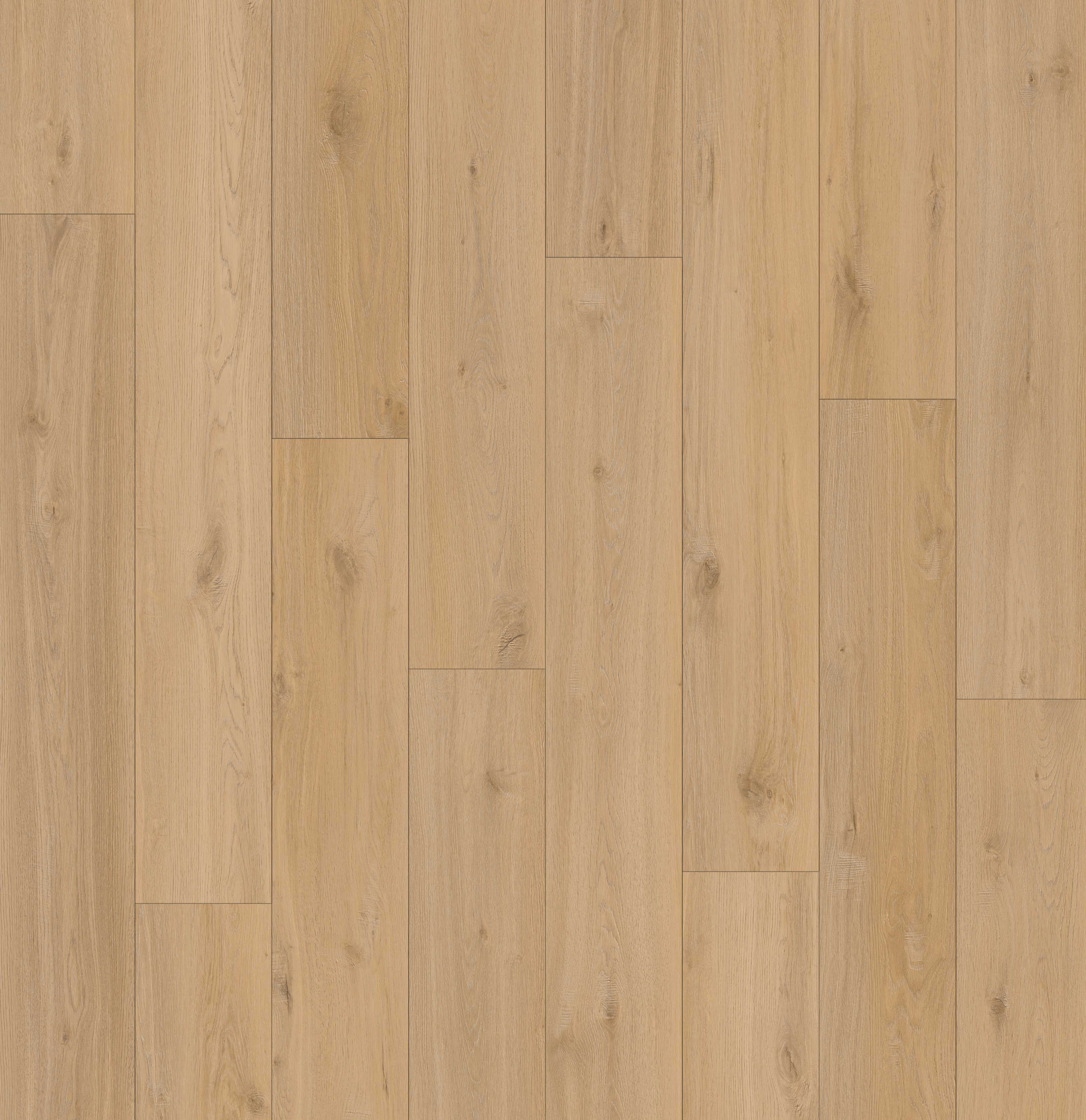 Lions Floor Tallgrass Drift LI-LR03 Lions Reservation SPC vinyl flooring