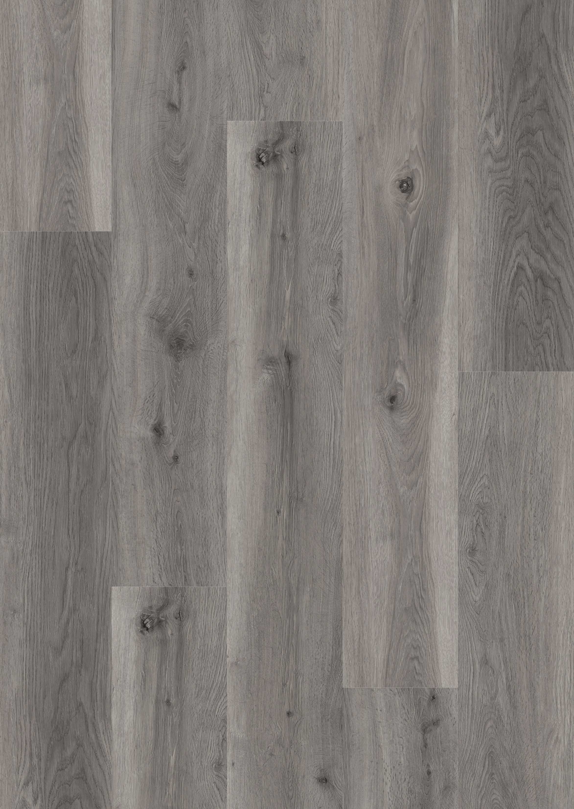 Lions Floor Migration Path LI-LR06 Lions Reservation SPC vinyl flooring