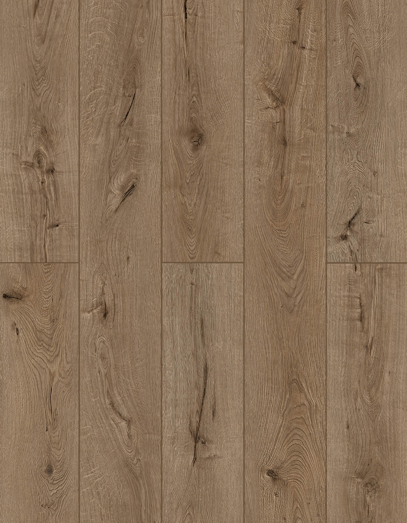 Lions Floor Forgotten Bark LI-TS205 Lone Star Spirit XL SPC vinyl flooring