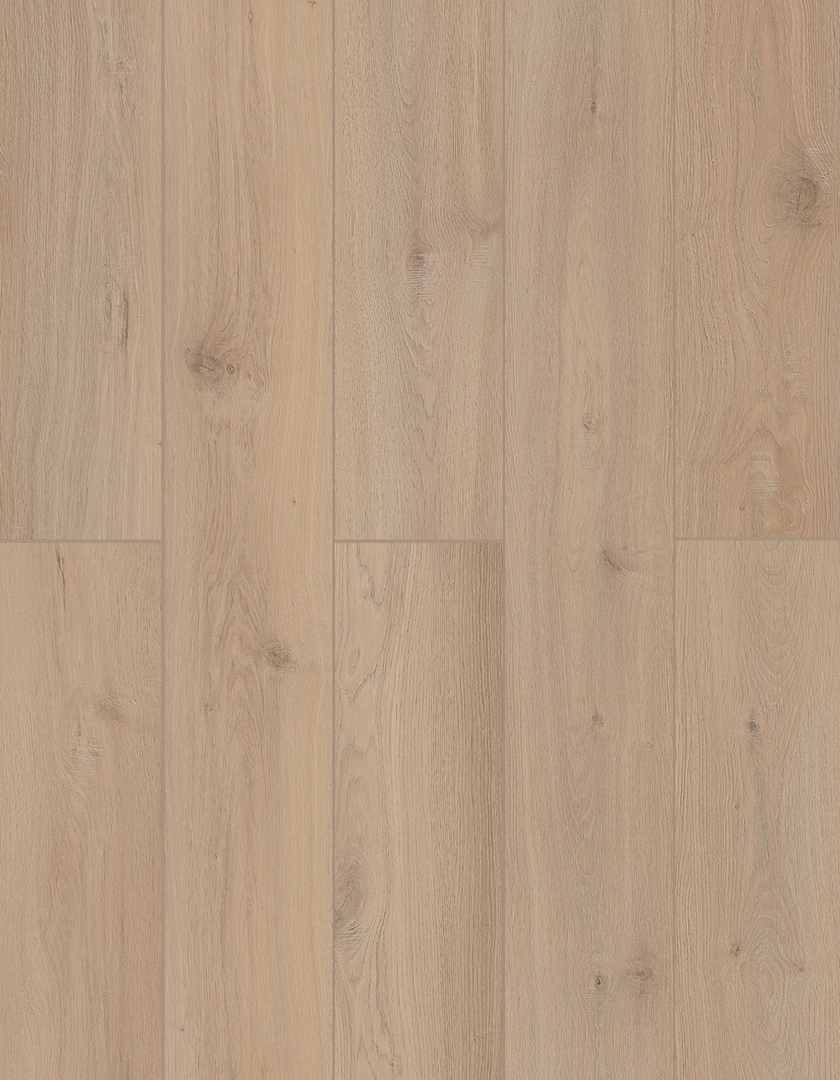 Lions Floor Sea Shell LI-TS207 Lone Star Spirit XL SPC vinyl flooring