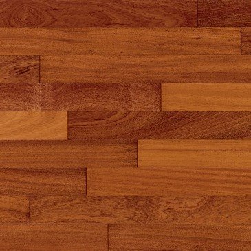 Sapele