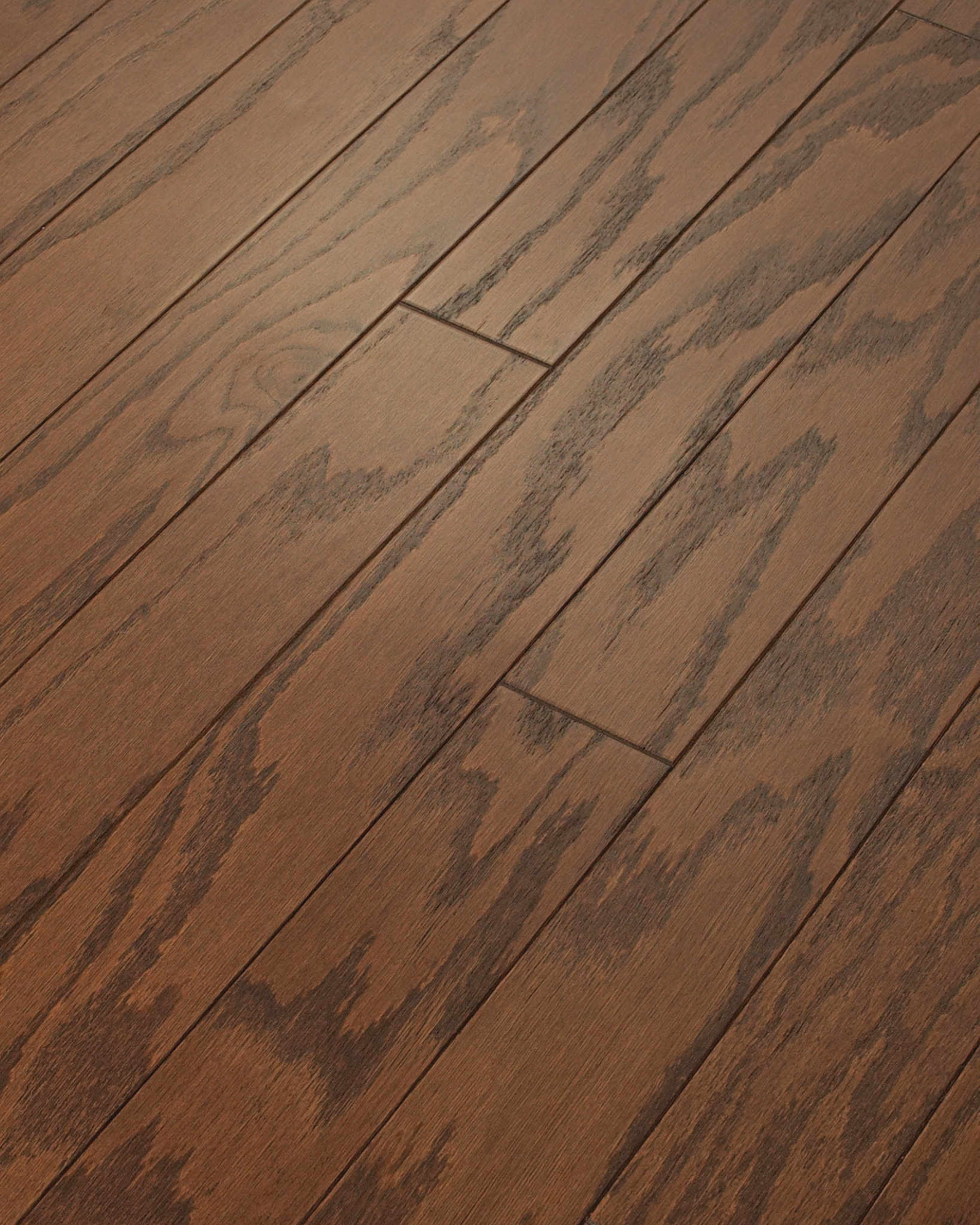 Hazelnut 00874