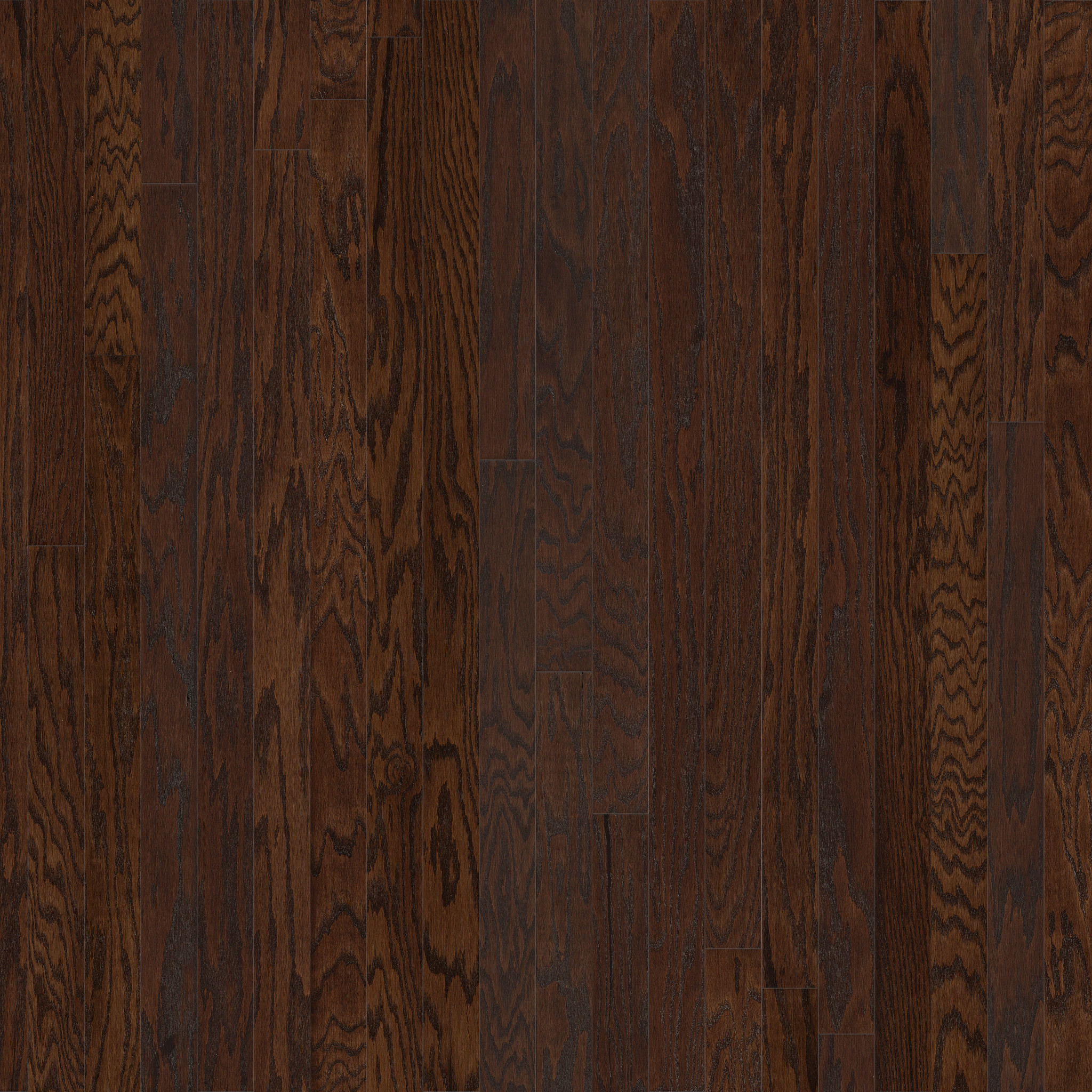 Coffee Bean 00938