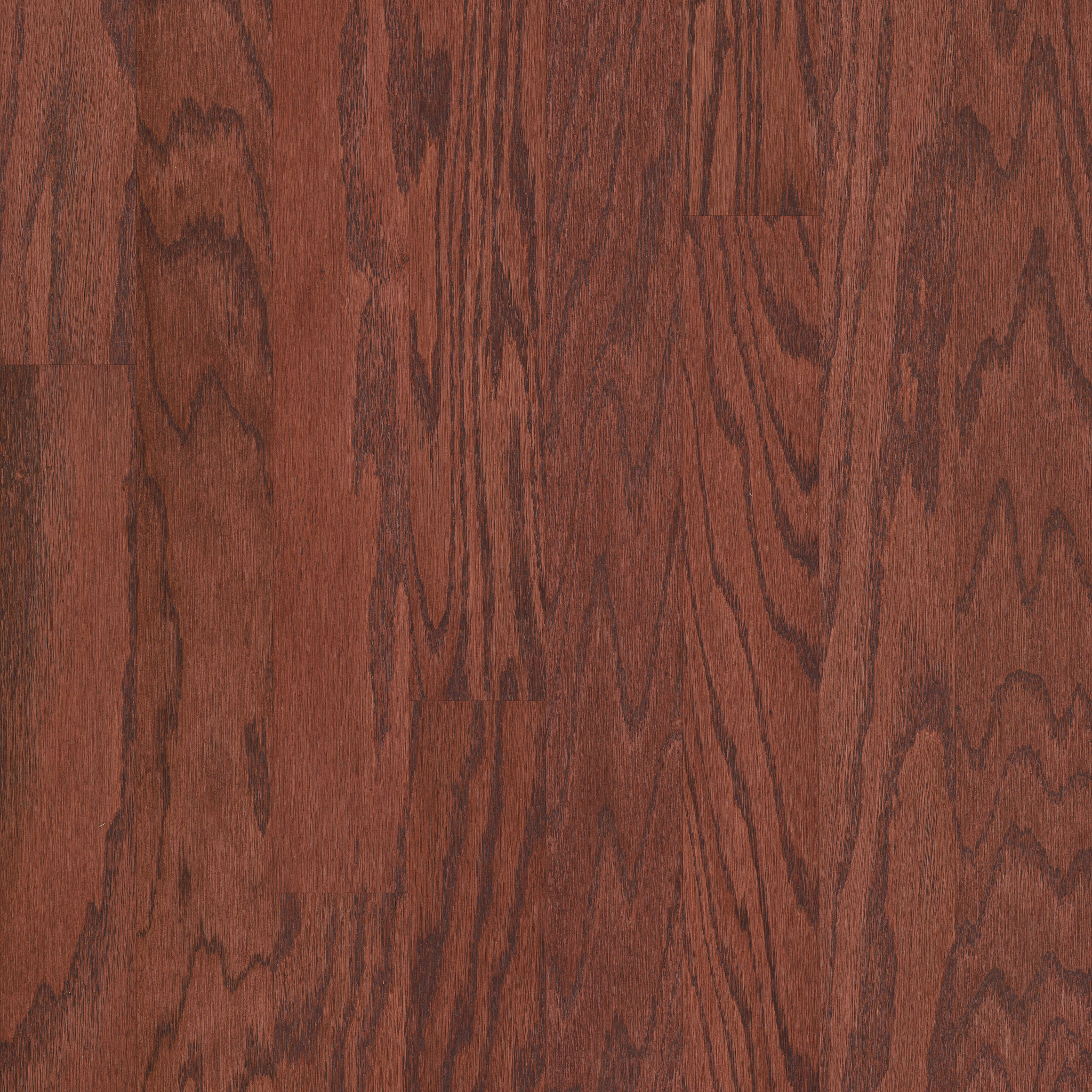 Cherry 00947