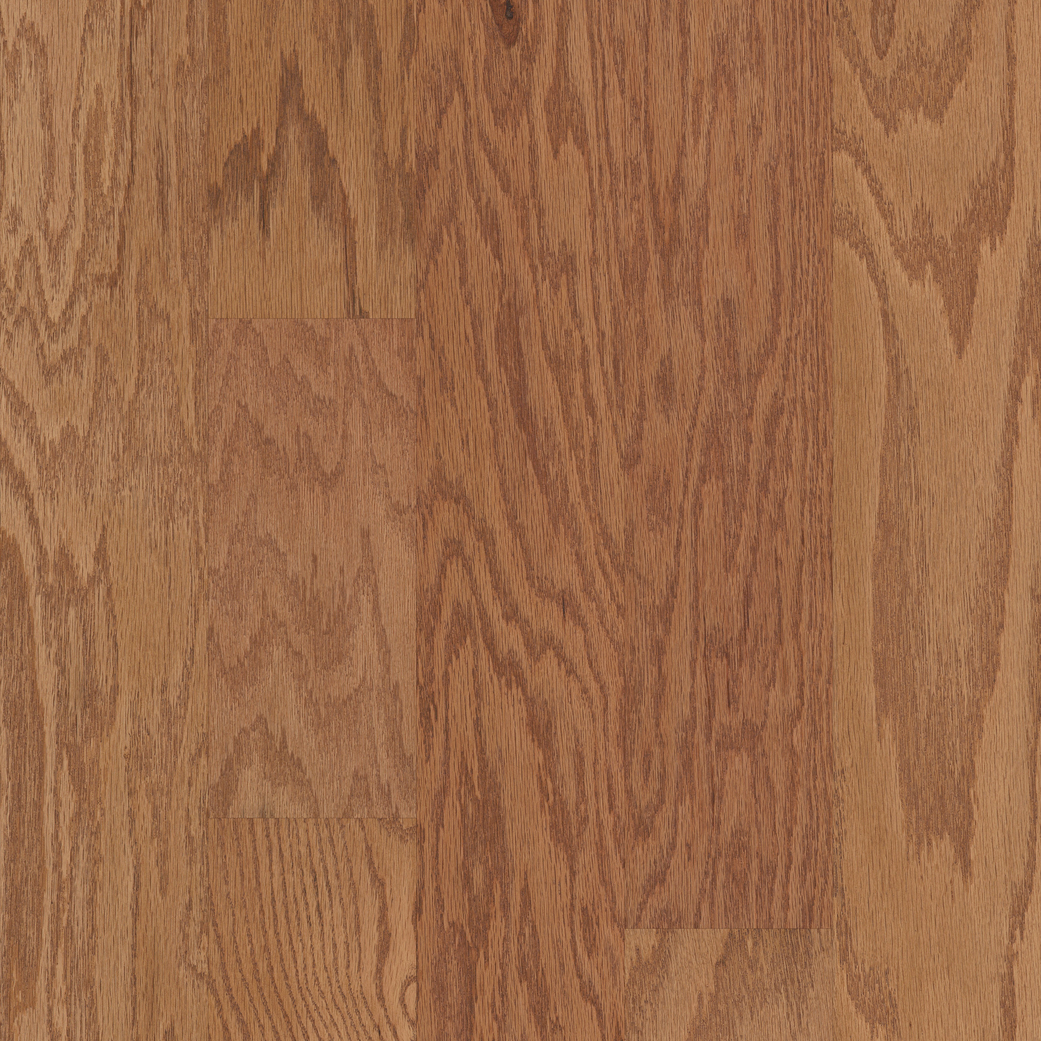 Caramel 00223