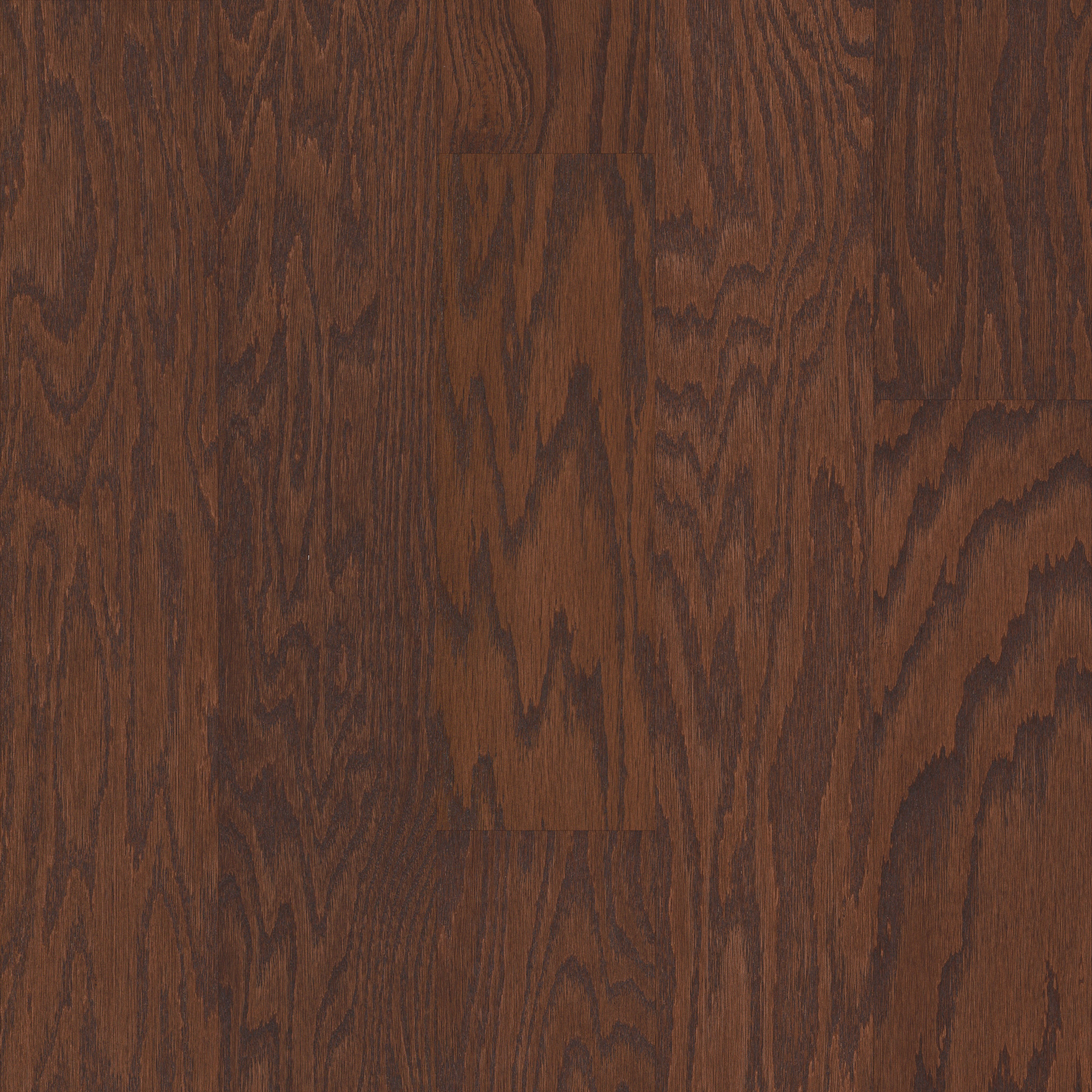 Hazelnut 00874