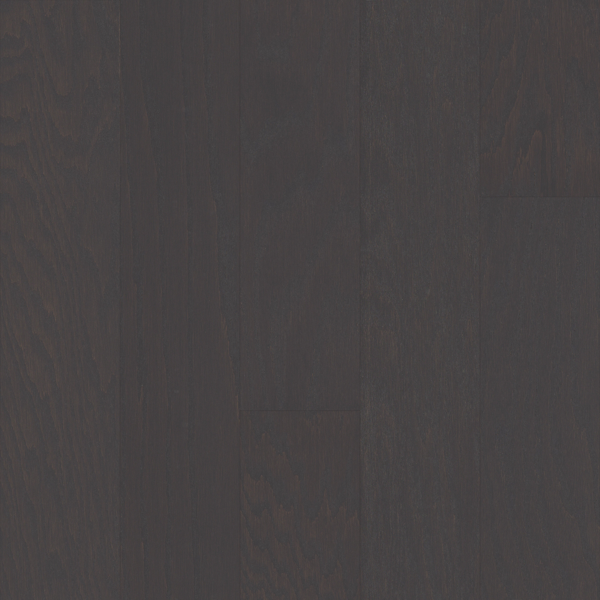 Charcoal 05013