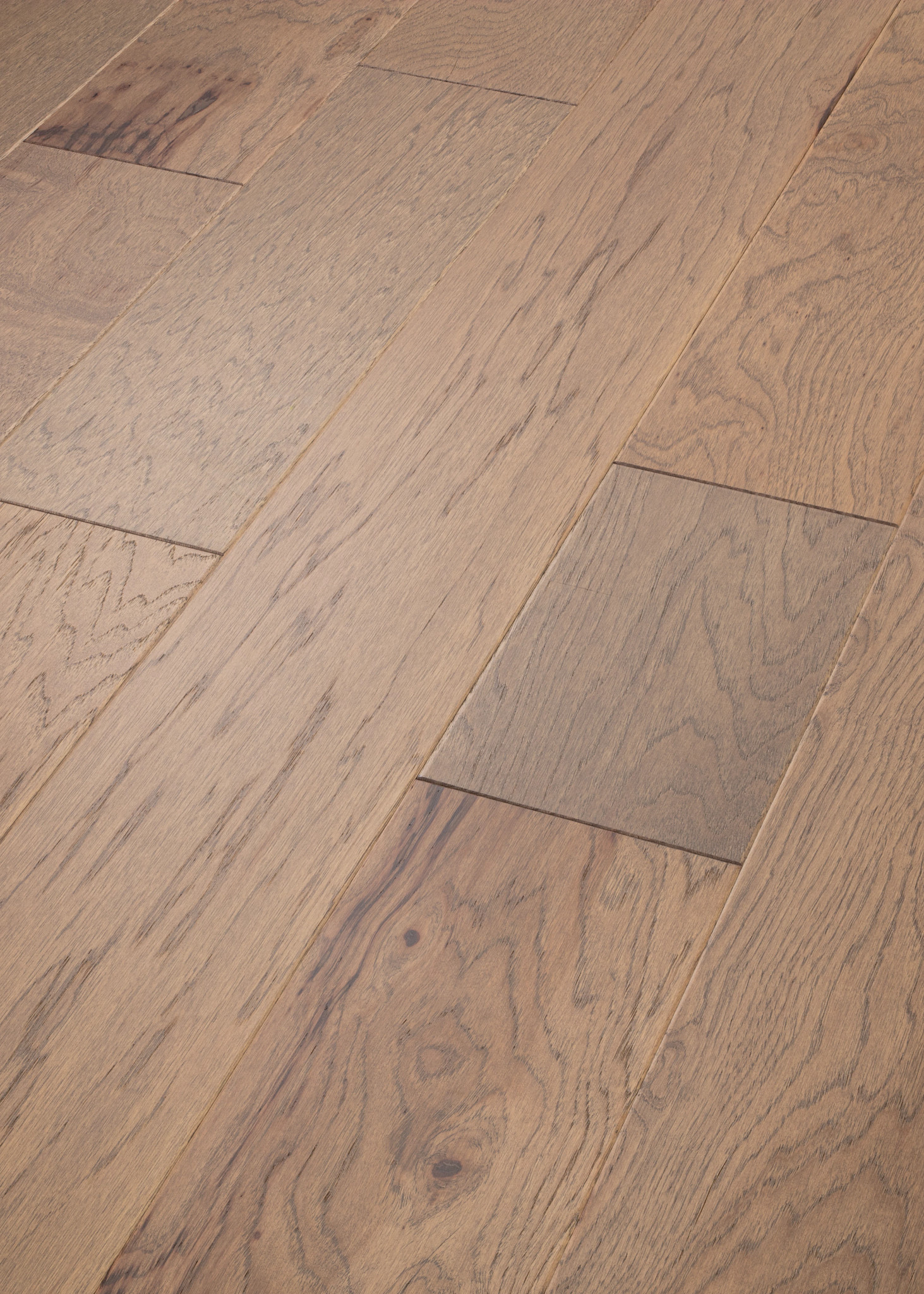 Jute 02052