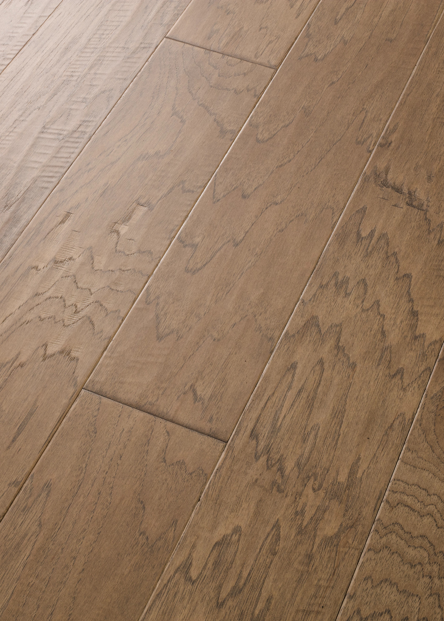 Cassia Bark 07071