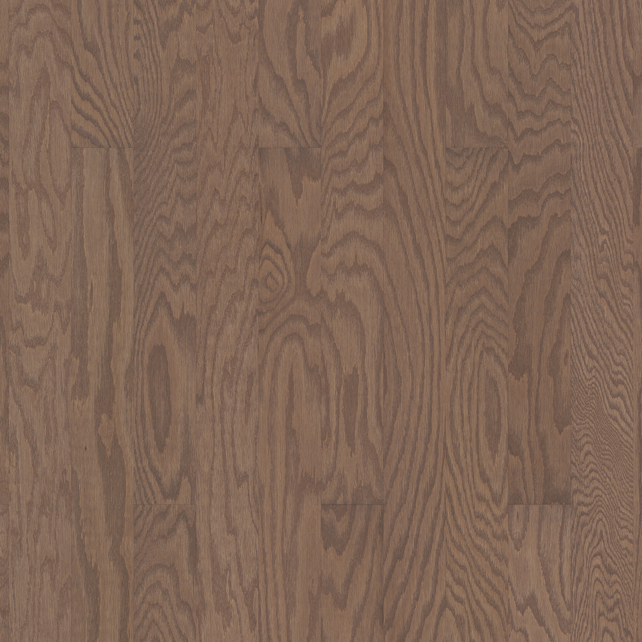 Flax Seed Lg 07087