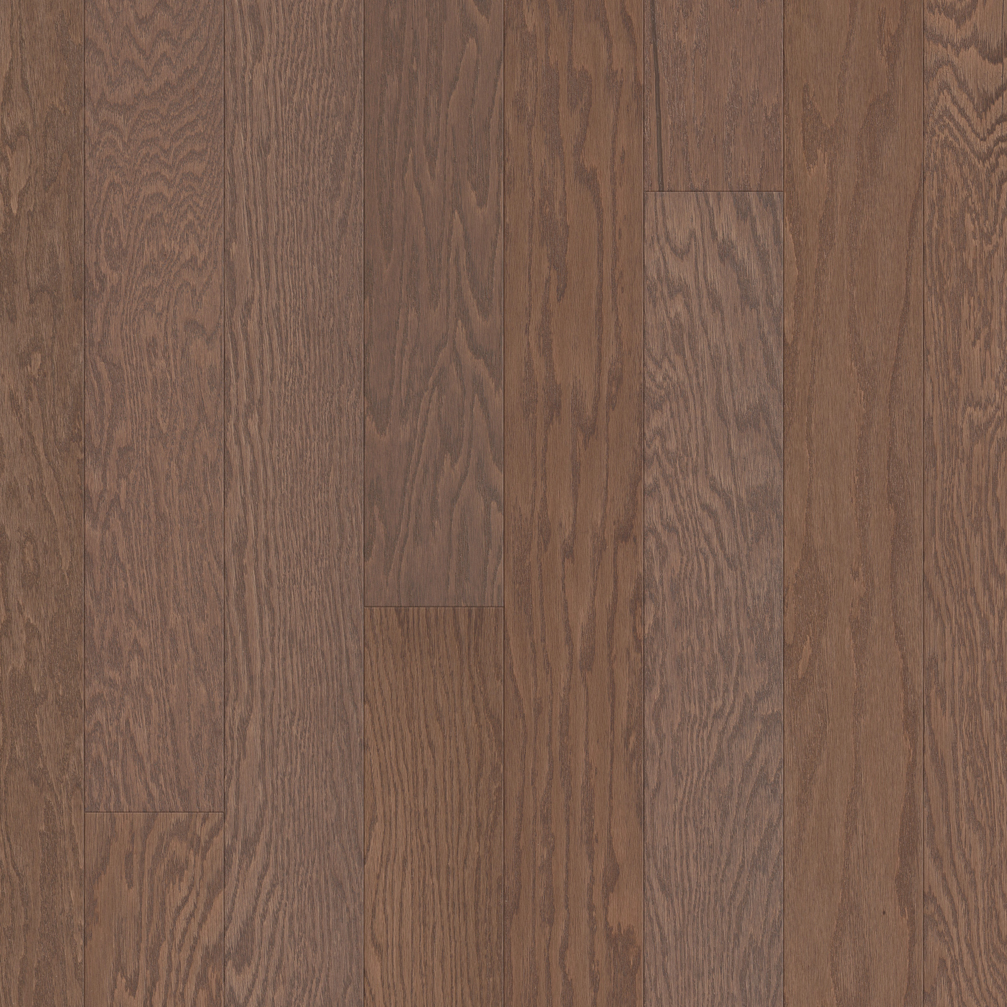 Flax Seed Lg 07087