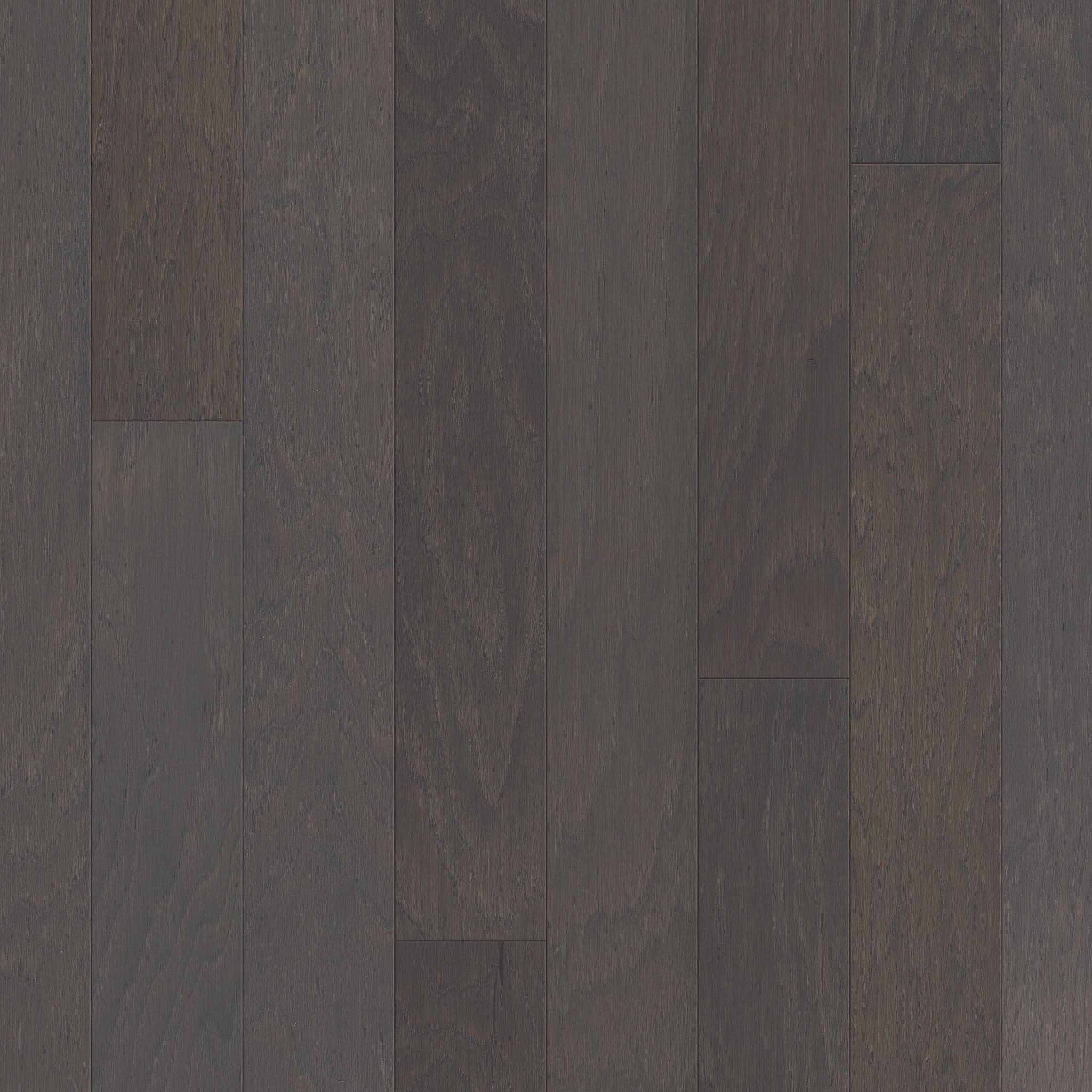 Sable 09022