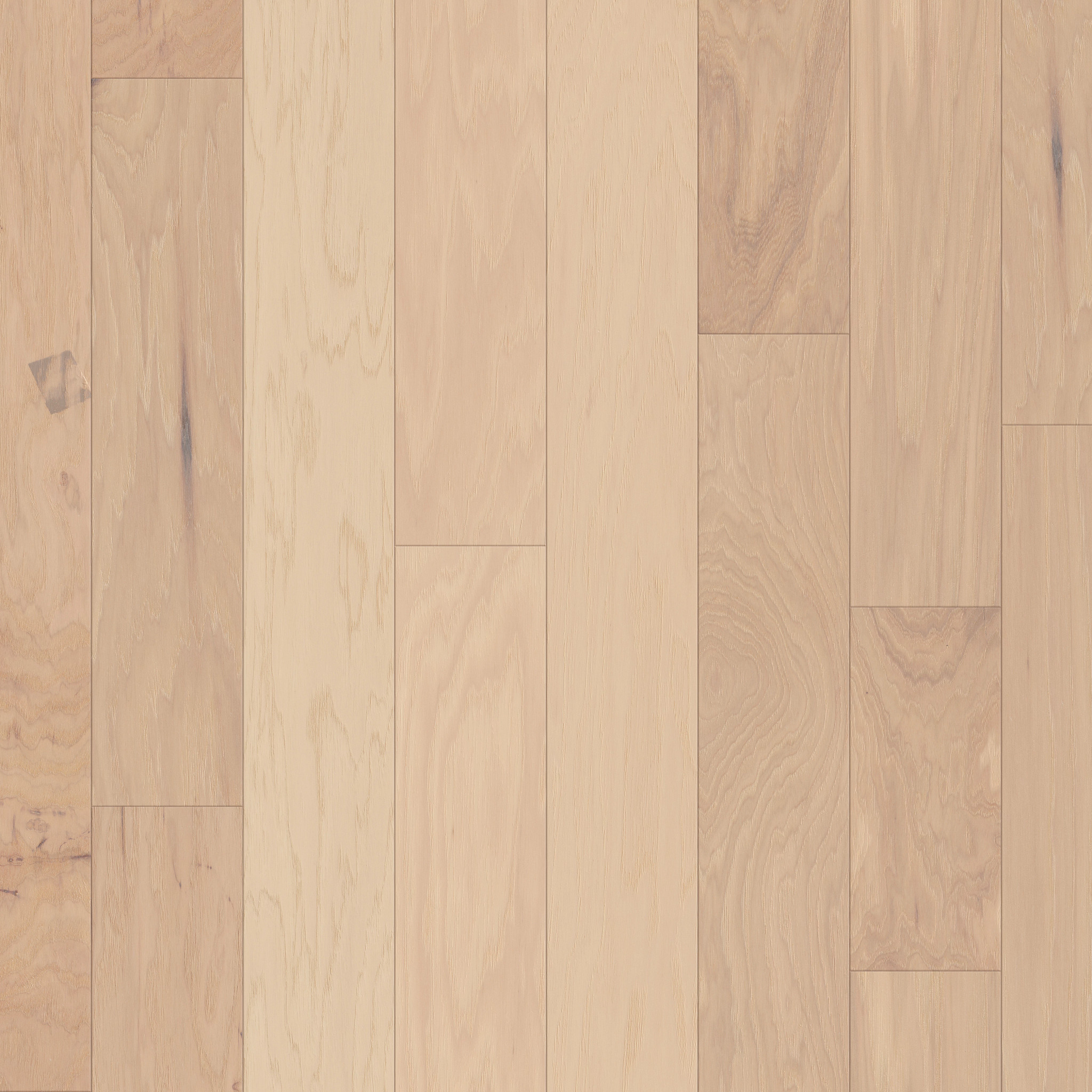 Canopy 01032