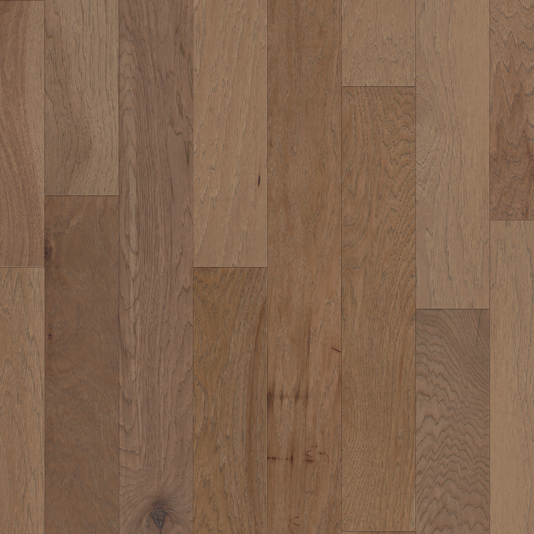 Burlap 02026